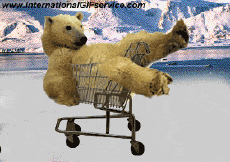 Humour - Fun Animaux Ours Serie 01 