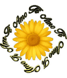 Messages Italian Ti Amo 02 