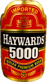 Getränke Bier Indien Haywards 