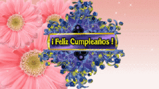 Mensajes Español Feliz Cumpleaños Floral Fondo animado 002 