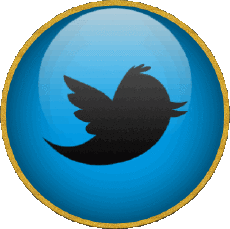 Multi Média Informatique - Internet Twitter 