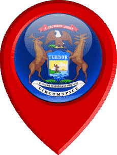 Bandiere America U.S.A - Stati Michigan Perno di posizione 