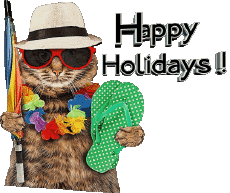 Messages Anglais Happy Holidays Fond Transparent 30 