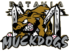 Sports Baseball U.S.A - New York-Penn League Batavia Muckdogs 