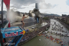 Humor -  Fun Sports Dive Fun - Win 