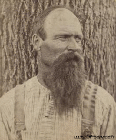 Humor -  Fun 3d Effekte Stéreoscopique Wiggle 