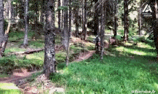 Humor -  Fun Sport Mountainbiking Stürze - Fail 