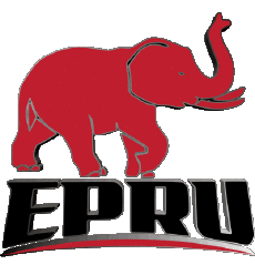 Sports Rugby Club Logo Afrique du Sud Eastern Province Elephants 