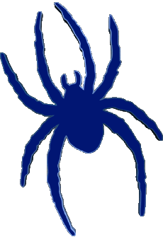 Sports N C A A - D1 (National Collegiate Athletic Association) R Richmond Spiders 