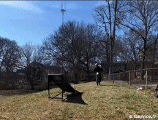 Humor -  Fun Transport Motorcycles Cross Gamelles Fail 