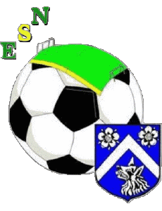 Sports Soccer Club France Centre-Val de Loire 28 - Eure-et-Loir E.S. Nogent le Roi 