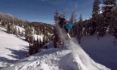 Humor -  Fun Transport Snow Motorcycle Fun - Win 