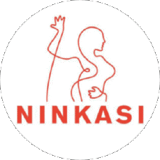 Boissons Bières France Métropole Ninkasi 