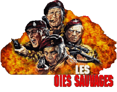 Multimedia Películas Internacional Patos Salvajes Logotipo Francés 