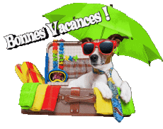 Nachrichten Französisch Bonnes Vacances Transparenter Hintergrund 11 