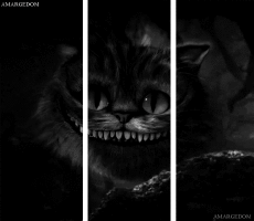 Humour - Fun 3D Effets 3D - Lignes -  Bandes 