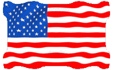 Banderas América U.S.A - Nacional Ondulación 