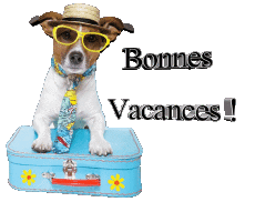 Messagi Francese Bonnes Vacances Sfondo trasparente 29 