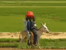 Multimedia Canales - TV Francia Voyage Jingle Pub 