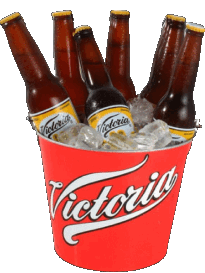 Bebidas Cervezas Mexico Victoria de Mexico 