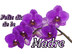 Messages Espagnol Feliz día de la madre 05 