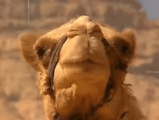 Multi Media Channels - TV France Voyage Jingle Pub 