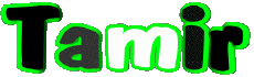 First Names MASCULINE - Maghreb Muslim T Tamir 