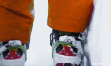 Humor -  Fun Sport Ski Free Ride Fun Win 