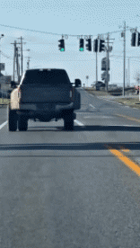 Humor -  Fun Transport Cars Funny 02 