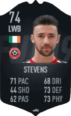Multimedia Vídeo Juegos F I F A - Jugadores  cartas Irlanda Enda Stevens 