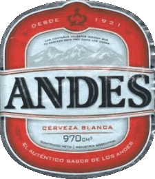Getränke Bier Argentinien Andes Cerveza 