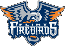Sport Eishockey Kanada - O H L Flint Firebirds 