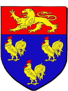 Blasón-Banderas Francia Departamentos - Ciudades 69 CHAPONNAY Blasón