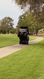 Humor -  Fun Transport Golf cart Serie 01 