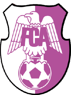 Sports FootBall Club Europe Roumanie FC Arges Pitesti 