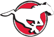 Deportes Fútbol Americano Canadá - L C F Calgary Stampeders 