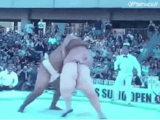 Humor - Fun Deportes Sumo Serie 01 