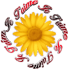 Messages French Je T'aime 03 