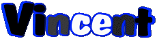 Vorname MANN - Frankreich V Vincent 