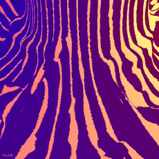 Umorismo -  Fun GIF Artista Bill Tavis 