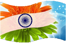 Banderas Asia India Rectángulo 