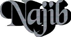 Prénoms MASCULIN - Maghreb Musulman N Najib 