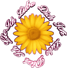 Messages Allemand Ich Liebe Dich 02 