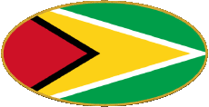 Fahnen Amerika Guyana Oval 