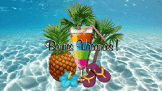 Mensajes Francés Bonnes Vacances Fondo animado 002 