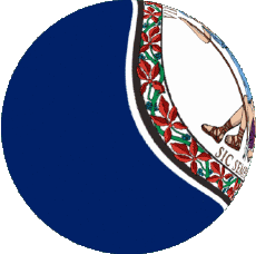 Bandiere America U.S.A - Stati Virginia Sfera - Cubo 