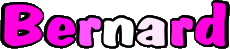 Vorname MANN - Frankreich B Bernard 