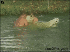 Humor -  Fun Tiere Krokodile - Kaiman 01 