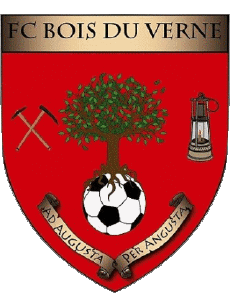 Sports FootBall Club France Bourgogne - Franche-Comté 71 - Saône et Loire FC Bois du Verne 