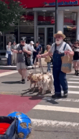 Humor -  Fun In the street Mix 03 